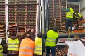 فلاحون إسبان يرمون منتجات فلاحية قادمة من المغرب