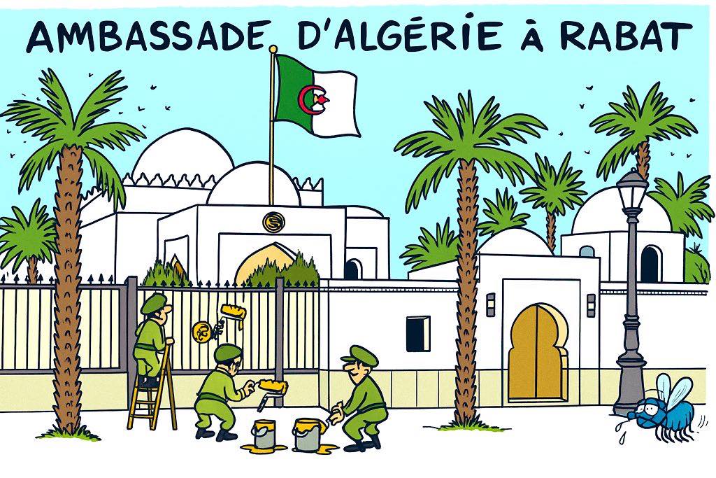 صورة من السوشيال ميديا